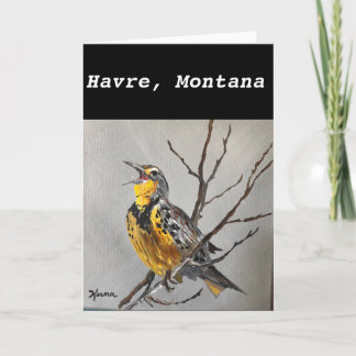 Meadowlark Karte - Havre, Montana