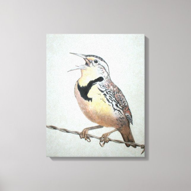 Meadowlark Leinwanddruck (Vorderseite)