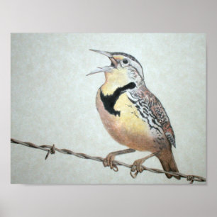 Meadowlark Poster