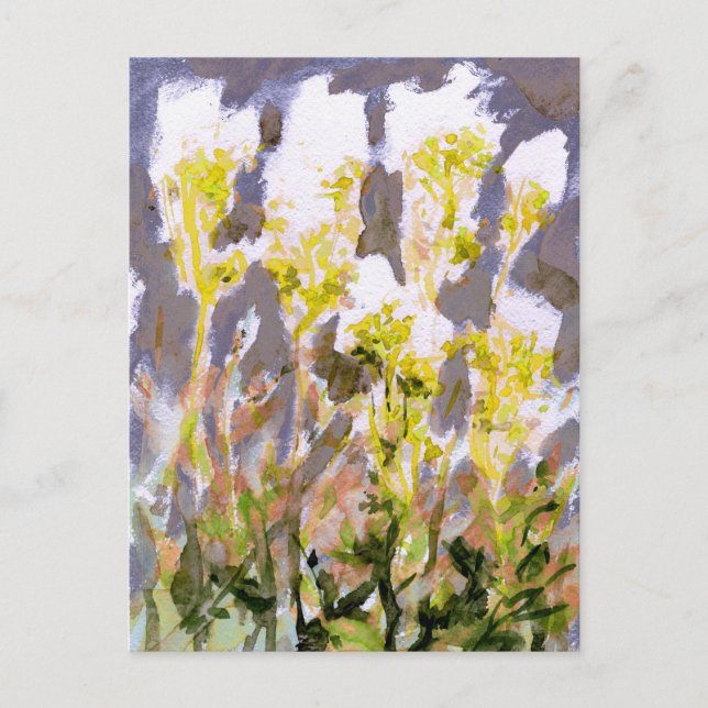 Meadowsweet Postkarte (Vorderseite)