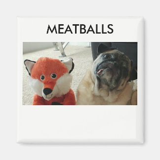 MEATBALLS MAGNETS