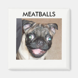 MEATBALLS MAGNETS