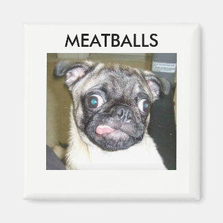 MEATBALLS MAGNETS MAGNET
