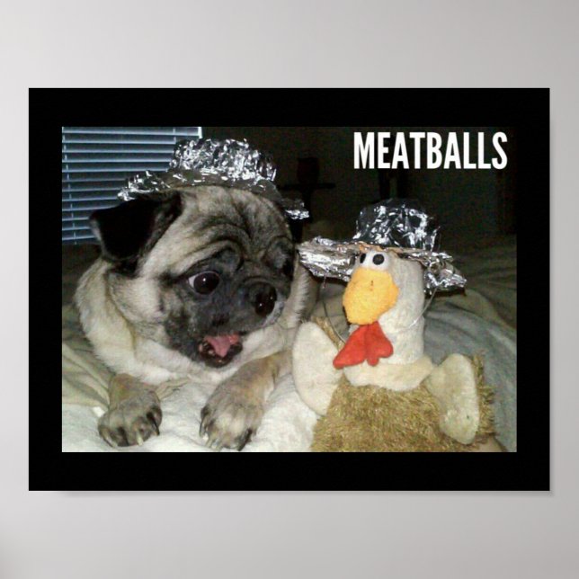 MEATBALLS POSTER (Vorne)