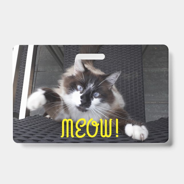 Meau! Ausweis (Vorderseite)