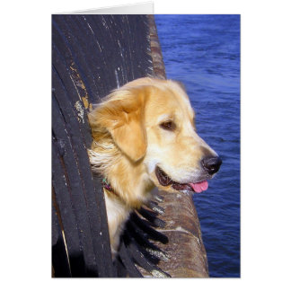 MEC.... VOUS SOUHAITEZ SAVOIR NAGER !