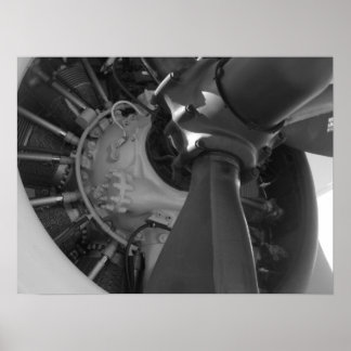 Mechanical Beauty Poster