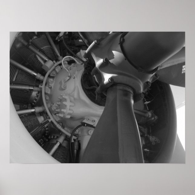 Mechanical Beauty Poster (Vorne)