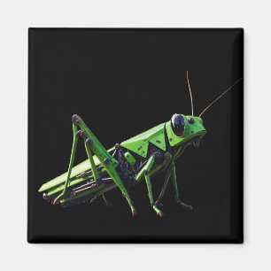 Mechanischer Grasshopper Magnet