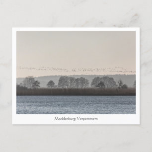 Mecklenburg-Vorpommern Postkarte