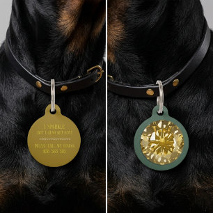 Médaille de chien chat ronde jaune diamant élégant