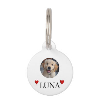 Médaille de chien personnalisée avec photo et nom 