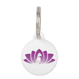 Médaille de dressage Om