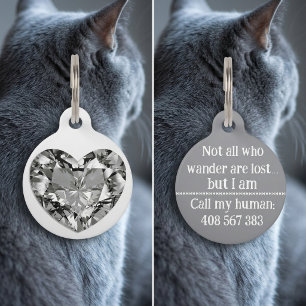 Médaille d'identification pour chien chat argent d