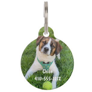 Médaille personnalisée avec photo pour chien ou ch