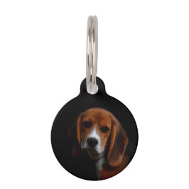 Medaillon für Hund Beagle Haustiermarke
