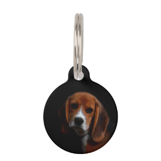 Medaillon für Hund Beagle Haustiermarke