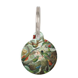 Médaillon Pour Animaux 12 oiseaux charmeurs américains races peintes dess