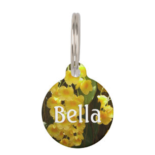 Médaillon Pour Animaux Accrocher les orchidées jaunes Fleurs tropicales