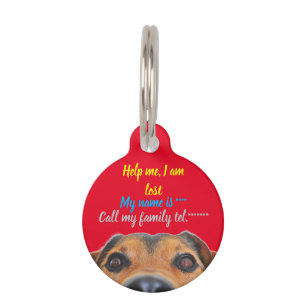 Médaillon Pour Animaux Aidez-moi à me perdre