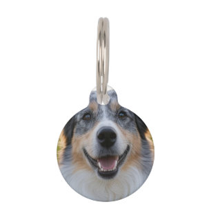 Médaillon Pour Animaux Ajouter une photo de l'animal Personnaliser