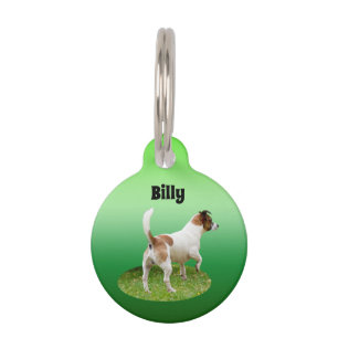 Médaillon Pour Animaux Alerte Fox Terrier Miniature, Insigne de Compagnie