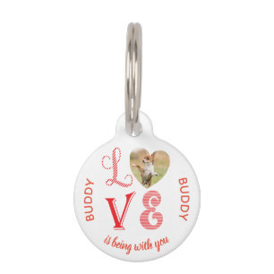 Médaillon Pour Animaux Alerte Médicale diabétique Red Heart Photo Pet ID 
