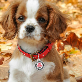 Médaillon Pour Animaux Alerte Médicale pour Animal de Compagnie Aveugle N