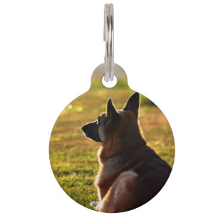 Médaillon Pour Animaux Allemand Shepherd Pet Perdre Memorial Pet Tags