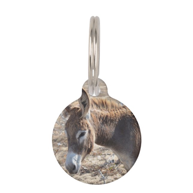 Médaillon Pour Animaux Âne adorable (Devant)