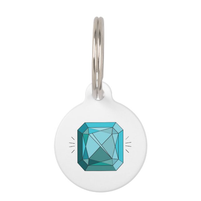 Médaillon Pour Animaux Aquamarine (Devant)