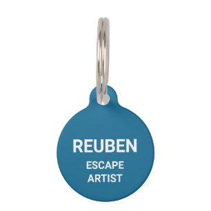 Médaillon Pour Animaux Artiste d'évasion Chien Bleu Personnalisé, Calembo