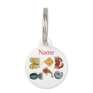 Médaillon Pour Animaux Association d'apaces de mer uniques Thunder_Cove