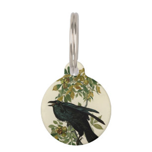 Médaillon Pour Animaux Audubon Raven Oiseau classique