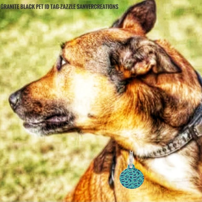 Médaillon Pour Animaux Autoroutes (Don't forget ID tags for your beloved, pet!)