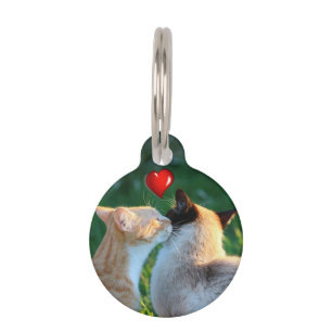 Médaillon Pour Animaux Baiser