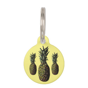 Médaillon Pour Animaux Balise ananas Round Pet