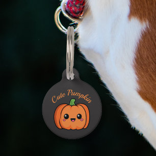 Médaillon Pour Animaux Balise animal de compagnie Citrouille