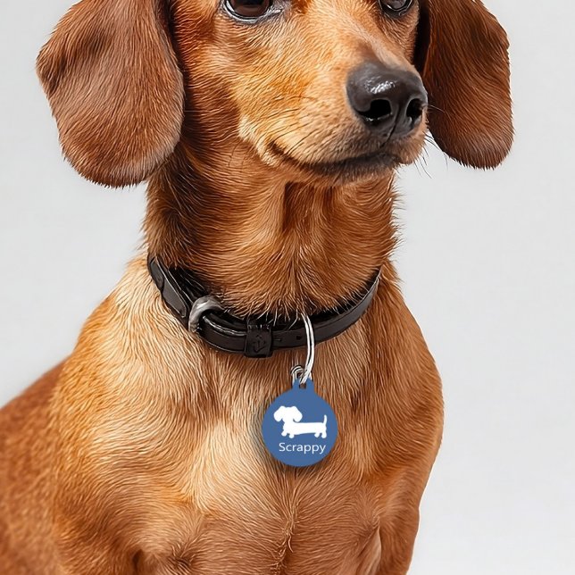 Médaillon Pour Animaux Balise Chien Dachshund Wiener ID Chien Bleu (Blue dachshund dog tag for wiener dogs - great gift for doxie dads or new sausage dog moms)