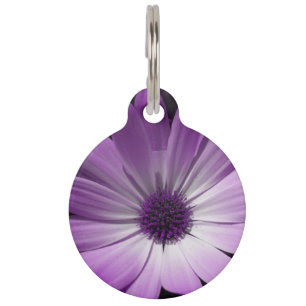 Médaillon Pour Animaux Balise Chien Fleur de marguerite violette