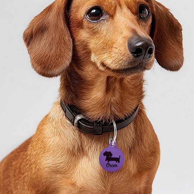 Médaillon Pour Animaux Balise de sécurité Dachshund Balises de chien Wien (new dachshund puppy gift - purple dog tag ID )