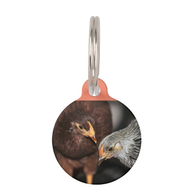 Médaillon Pour Animaux Balise d'ID d'animal de compagnie de temps de comm (Devant)