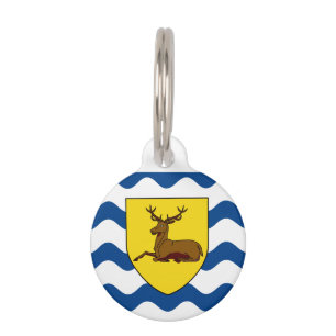 Médaillon Pour Animaux Balise d'identification de l'animal de compagnie d