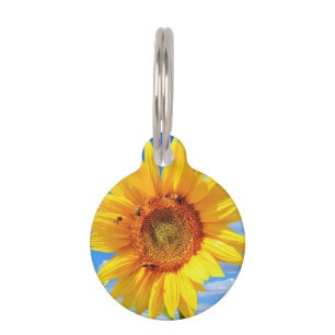 Médaillon Pour Animaux Balise ID animal de compagnie du tournesol jaune e