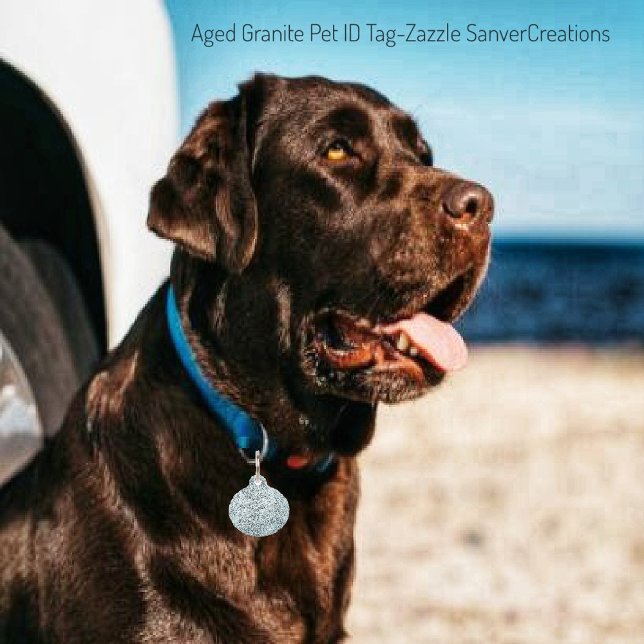 Médaillon Pour Animaux Balise ID animal de compagnie en granit âgé (Créateur téléchargé)