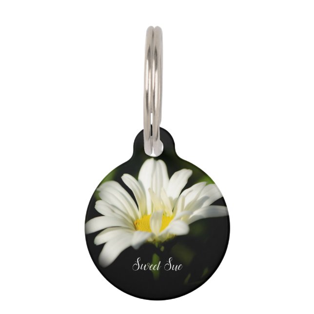 Médaillon Pour Animaux Balise Oxeye Daisy Round Dog (Devant)