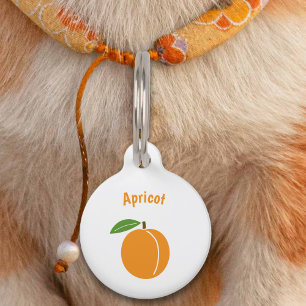 Médaillon Pour Animaux Balise pour animal de compagnie Apricot
