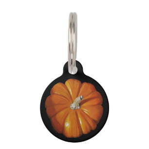Médaillon Pour Animaux Balise pour animal de compagnie rond citrouille