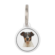 Balises d'ID de chien personnalisées avec nom et c