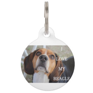 Médaillon Pour Animaux beagle amour w pic noir rouge blanc